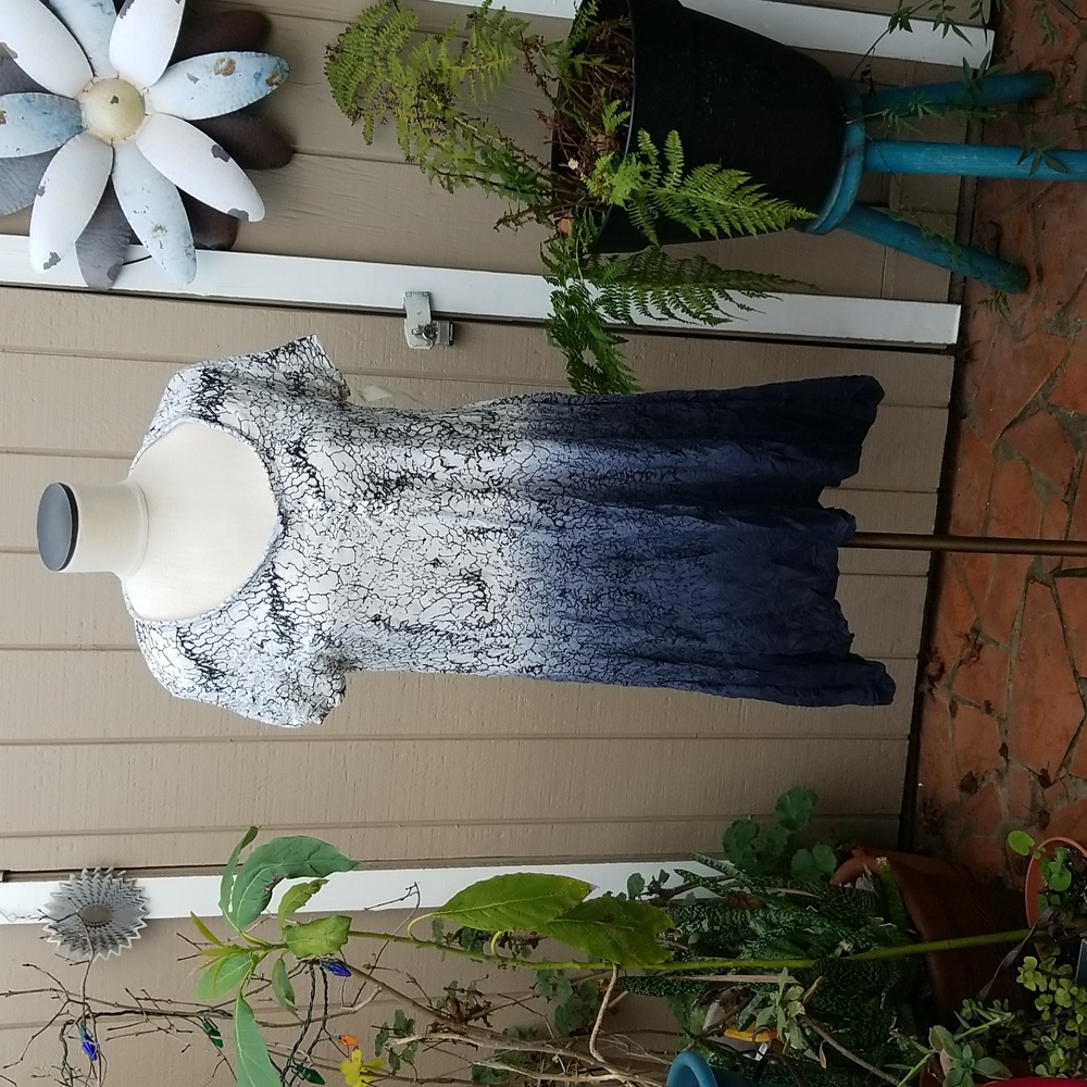 Lauren Vidal Ombre Tunic Dress Size XL
